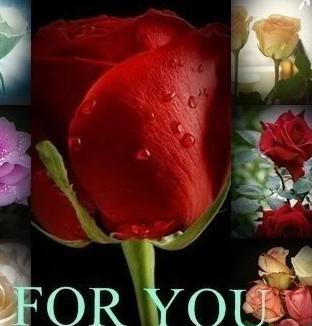 Meri Ebadat Ye Dunya....