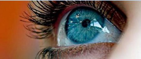 What Did You Miss...