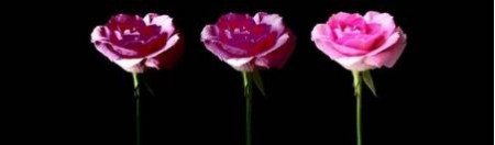 FRIENDSHIP QUOTES....